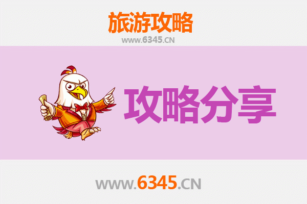 甘南夏河至湄洲岛旅游攻略：跟团与自由行深度对比
